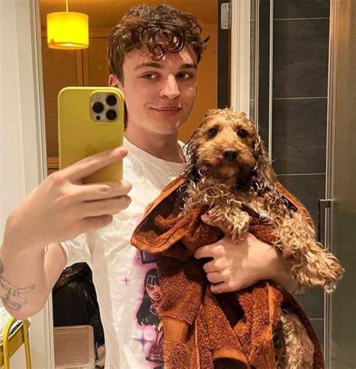 Adam McIntyre Pets