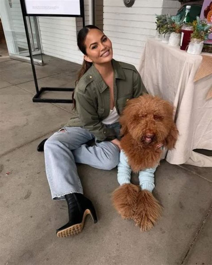 Chrissy Teigen Pets