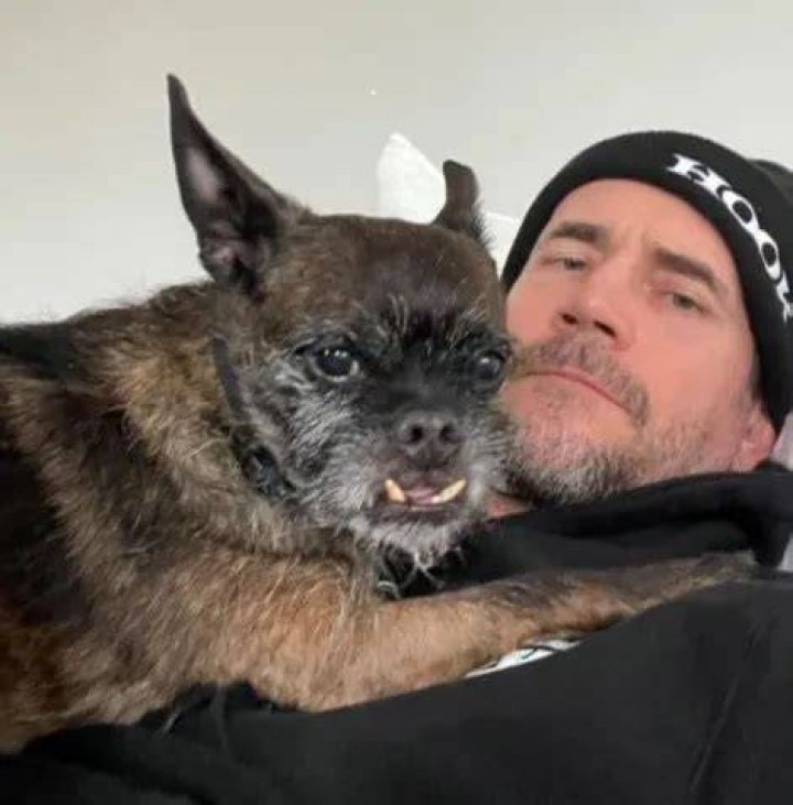 CM Punk Pets