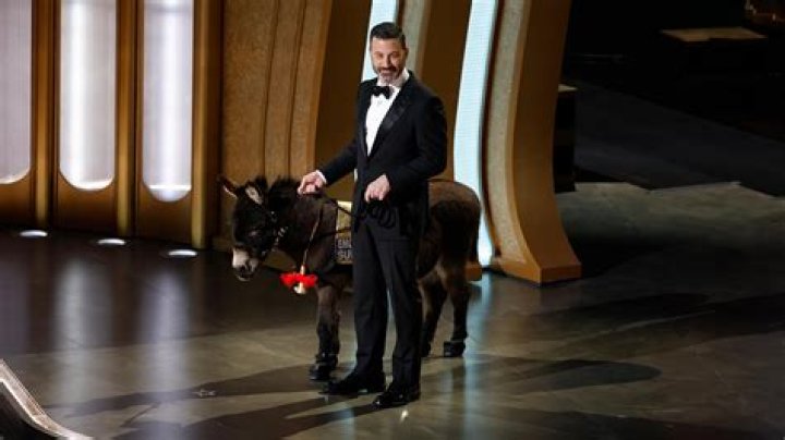 Colin Farrell Jenny the Donkey