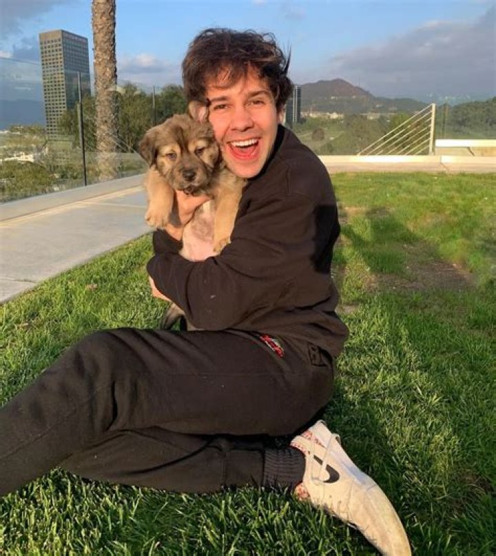 David Dobrik Pets