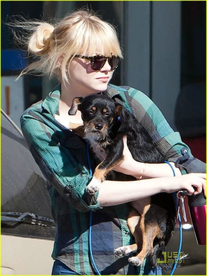 Emma Stone Pets