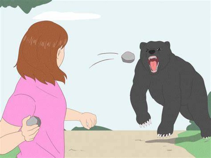 fricka bear attack