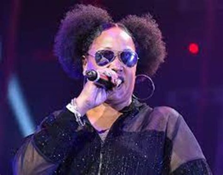 Is The Lady Of Rage Arrested: Arrest Charges And Mugshot