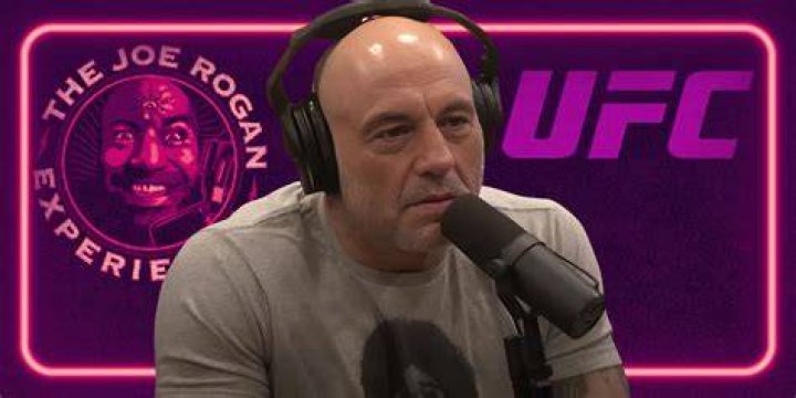 joe rogan