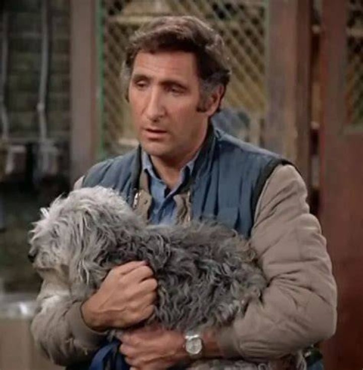 Judd Hirsch Pets