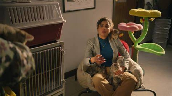 Kelli Ogmundson Pets Animal Control