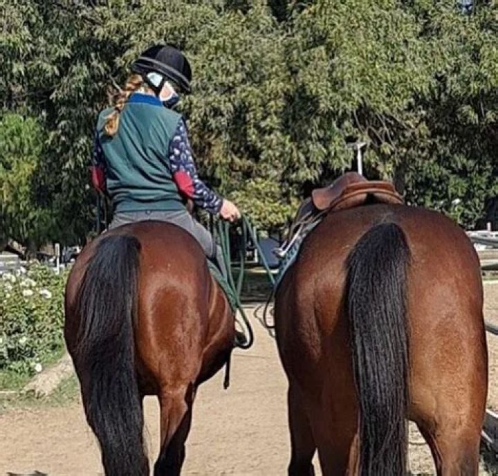 Kerry Condon has a ranch for rescued horses in Los Angeles