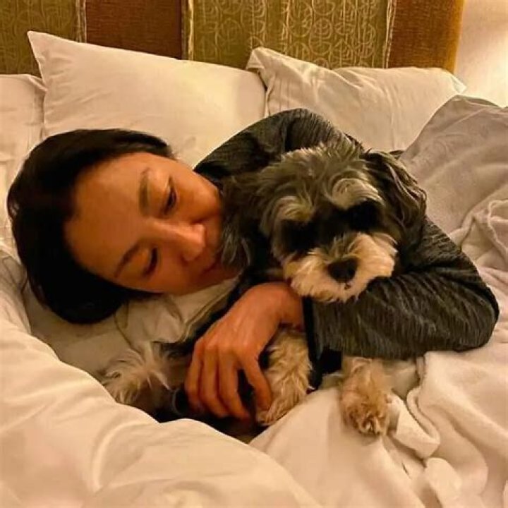 Michelle Yeoh Maltipoo Dog