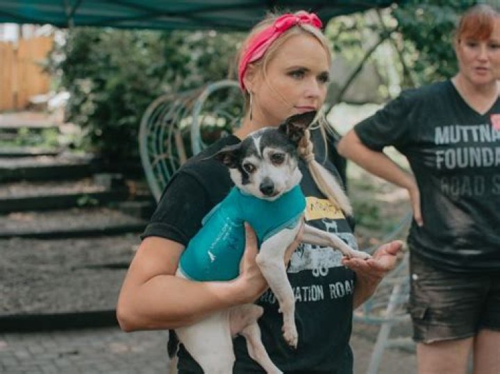 Mutt Nation - Dog Adoption and Advocacy Website