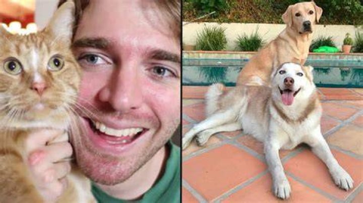 Shane Dawson Pets