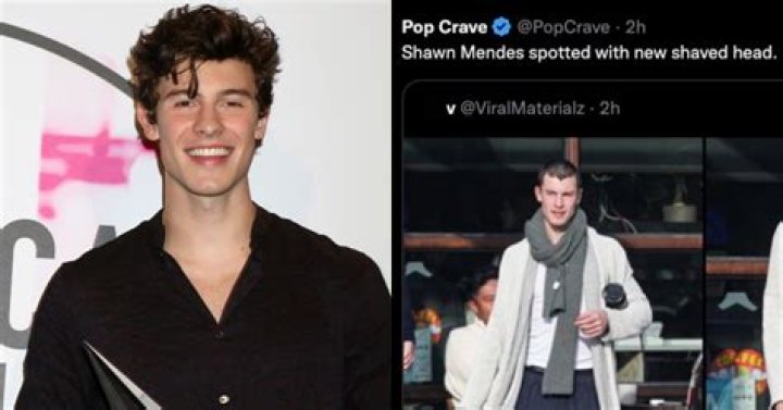 Shawn Mendes SEO