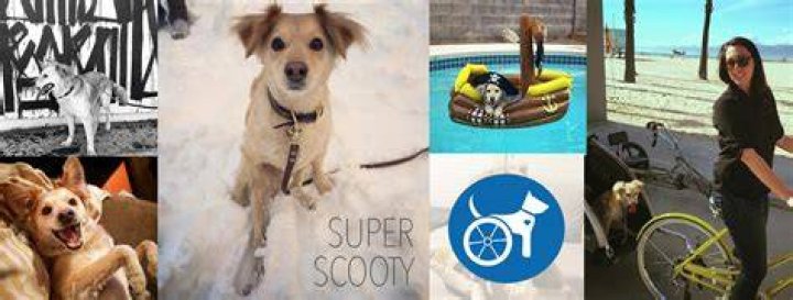 super_scooty