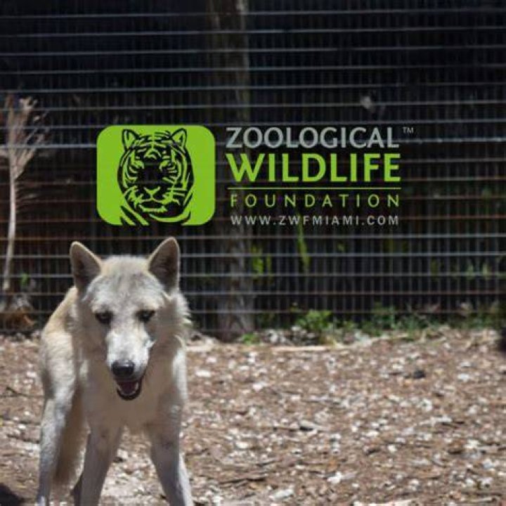 Zoological Wildlife Foundation Website